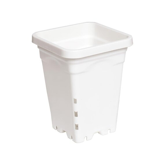 Active Aqua Square Pot - 5 x 5 x 7-in - White - Case of 100