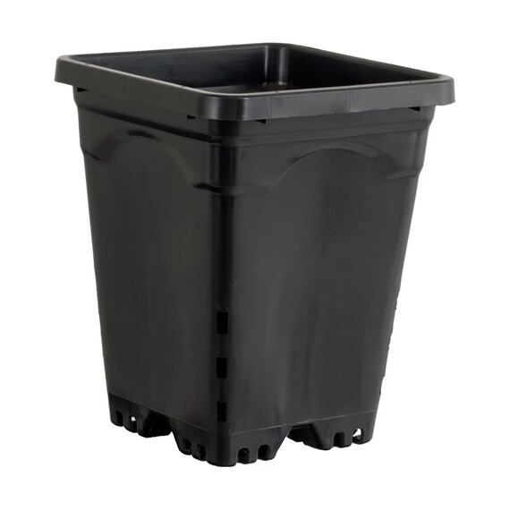 Active Aqua Square Pot - 6 x 6 x 8-in - Black - Case of 50
