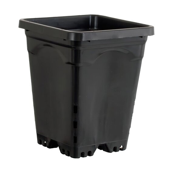 Active Aqua Square Pot - 7 x 7 x 9-in - Black - Case of 50