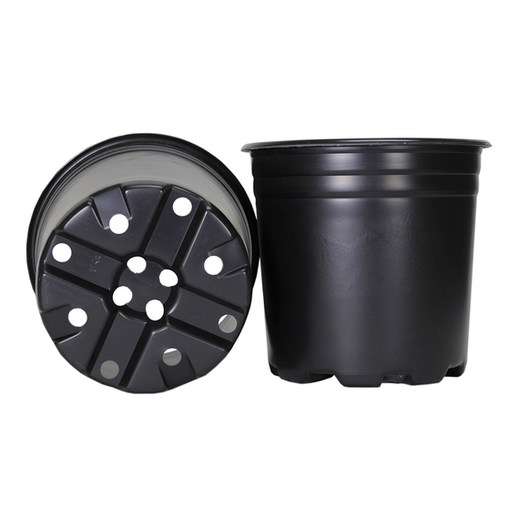 Pro Cal Thermo Pot, 2 gal