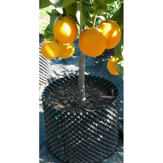 Air-Pot Container Propagation Cell (0.3 gal/1 L), case of 25