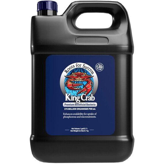Plant Success King Crab, 1 gal