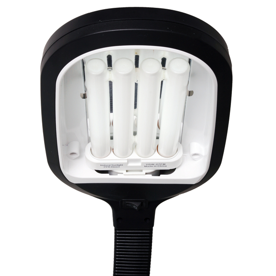 Agrobrite Standing CFL Plant Lamp, 27W