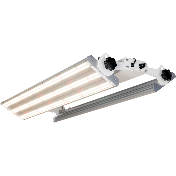 Phantom PHENO 440 LED, 440W, 100-277V, MP Spectrum