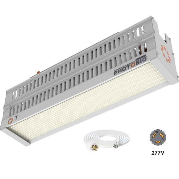 Photobio T LED, 330W, 100-277V S4, (10' 277V L7-15P Cord)