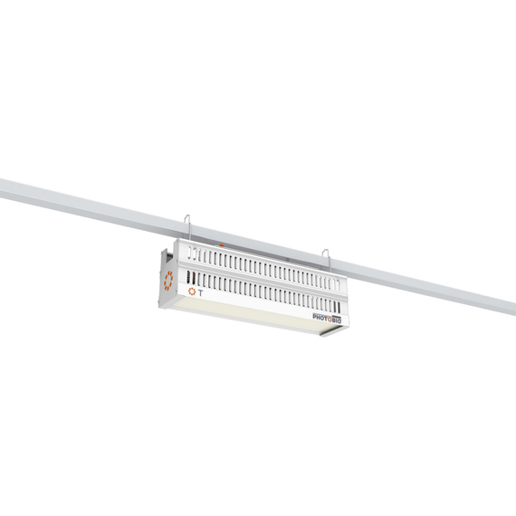 Photobio T LED, 330W, 100-277V S4, (10' 277V L7-15P Cord)