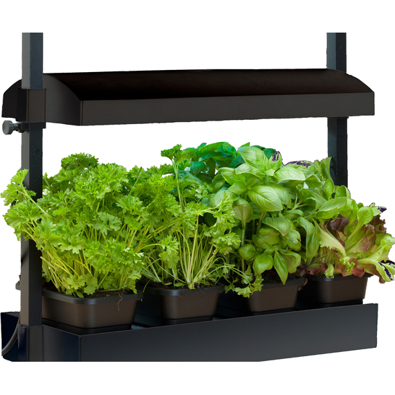 Sunblaster Micro T5 Grow Light Garden, Black