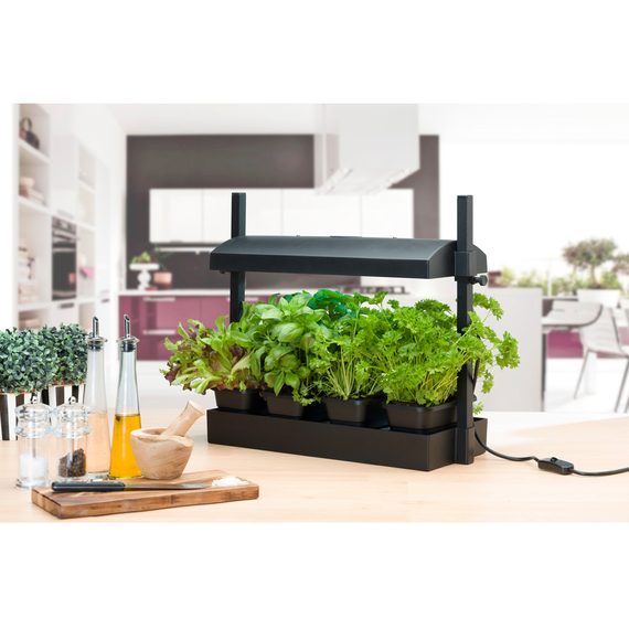Sunblaster Micro T5 Grow Light Garden, Black