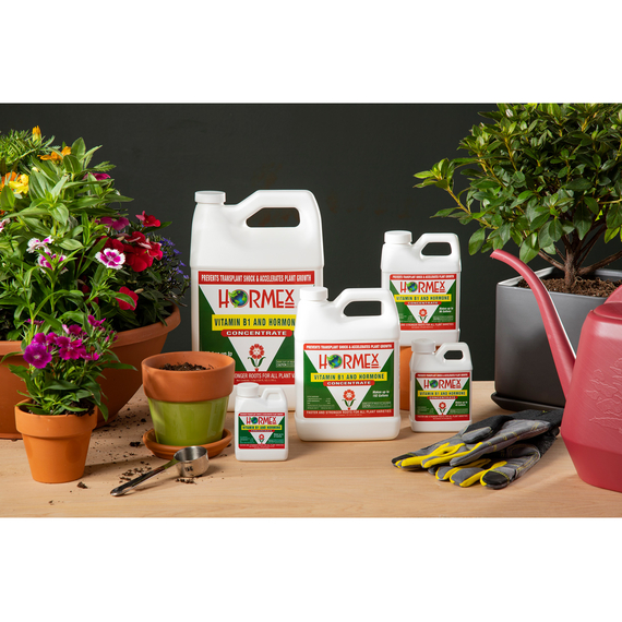 Hormex Liquid Concentrate, 1 qt