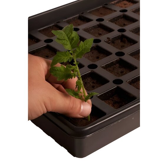 Jump Start AccelaROOT 50-Cell Insert with Tray and Starter Plugs