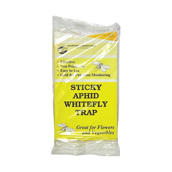 Seabright Laboratories Aphid and Whitefly Traps - 5-Pack