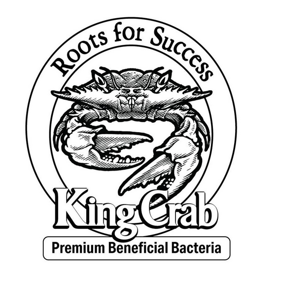 Plant Success King Crab, 1 gal