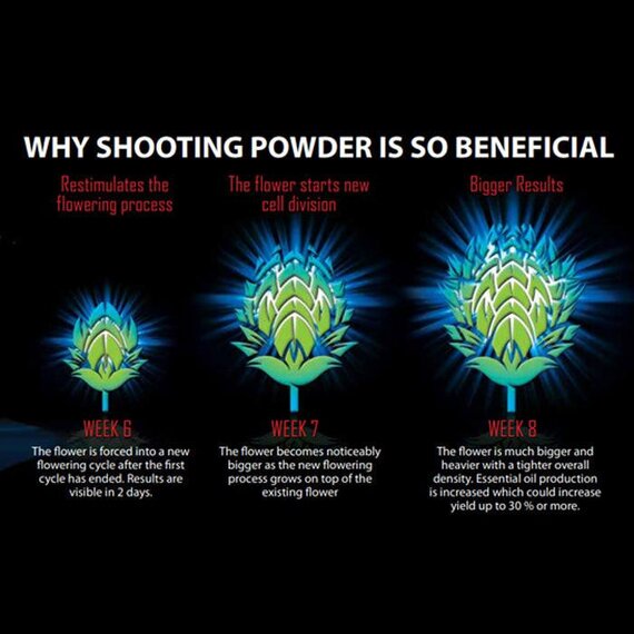 House & Garden Shooting Powder Sachet Bloom Booster - 5-Count