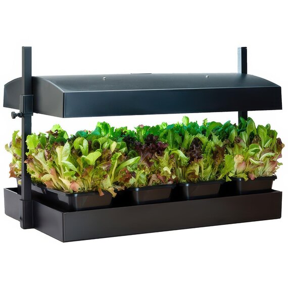 SunBlaster Micro T5 Grow Light Garden - Black