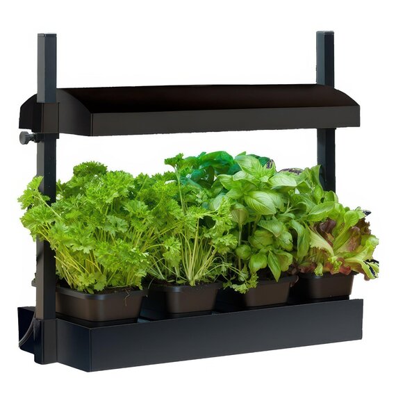 SunBlaster T5 Grow Light Garden - Black