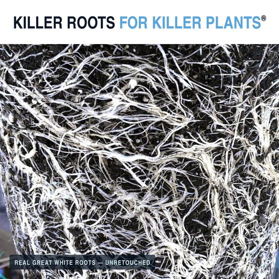 Plant Success Great White Premium Mycorrhizae - 1 Oz