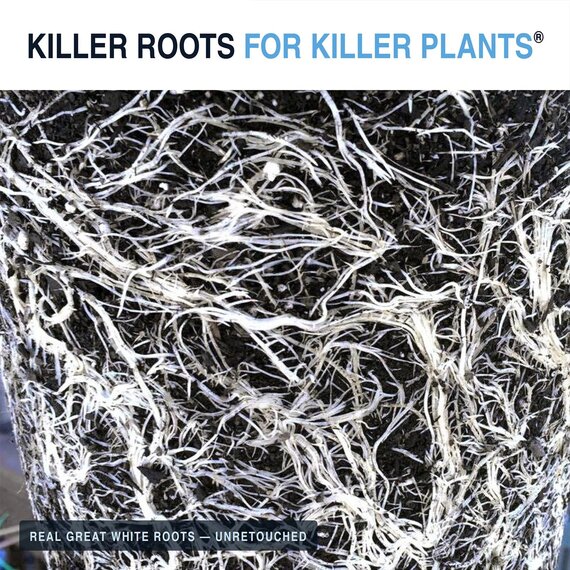 Plant Success Great White Premium Mycorrhizae - 4 Oz