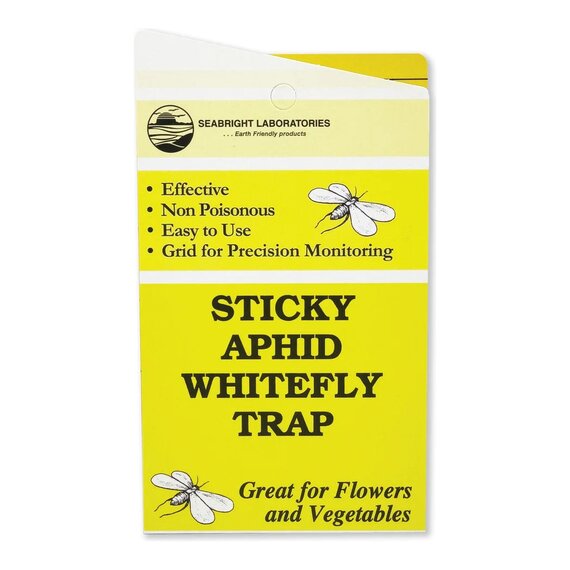 Seabright Laboratories Aphid and Whitefly Traps - 5-Pack
