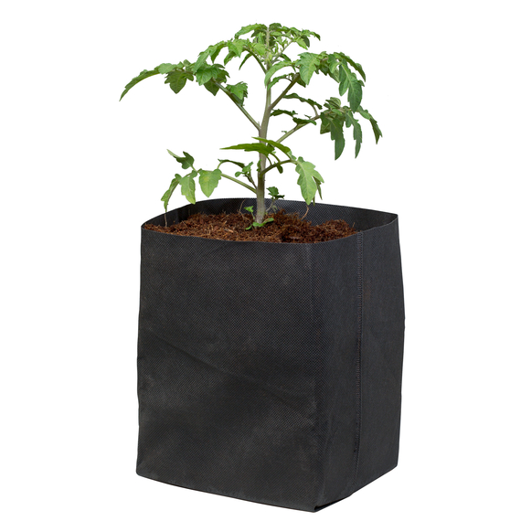 Botanicare CocoPro Coir Bag #5 - 12ct - 3.5gal