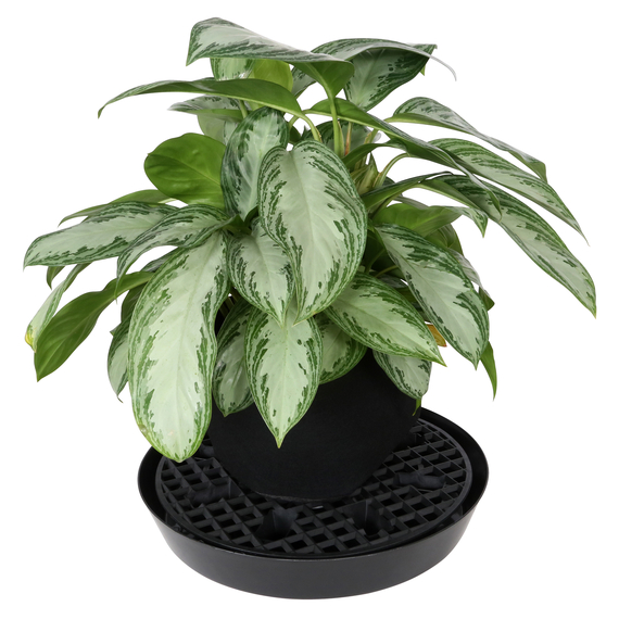 Gro Pro NX Level Pot Elevators - 18.5in - Black - For 20gal Pots