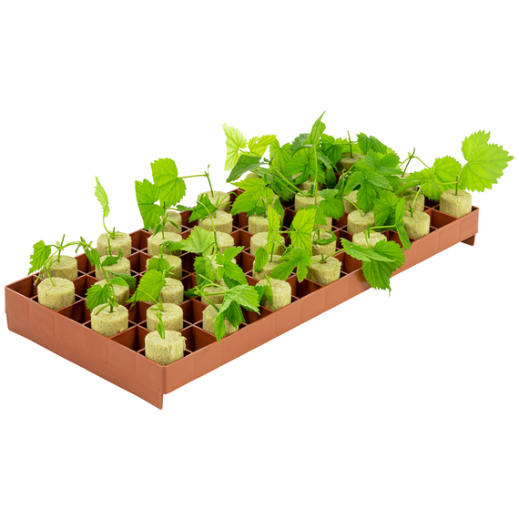 Super Sprouter Stonewool Tray - 78 Cell - 1.5in Squares