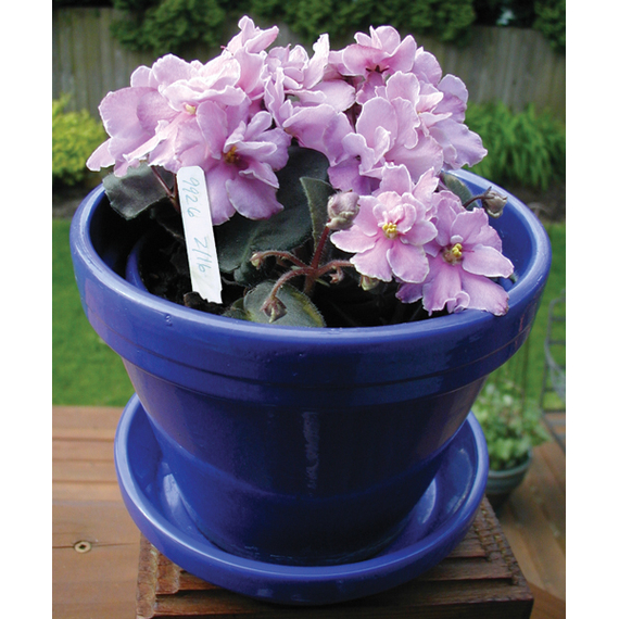 Grower's Edge Plant Stake Labels - 1,000pc Box - White